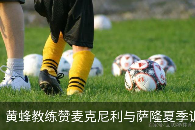 黄蜂教练赞麦克尼利与萨隆夏季训练成绩显著